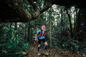 BIB: 
                            <button type="button" onclick="openModal(25391089)" class="btn btn-primary btn-sm float-right btn-popup" data-toggle="modal" data-target=".modal-high-quality">
                        <i class="fas fa-shopping-cart"></i> Add to Cart
                    </button>
                                            <button type="button" onclick="isThisMe(25391089, true)" class="btn btn-success btn-sm float-right btn-popup btn-isme hidden" data-toggle="tooltip" data-placement="bottom" title="นี่คือรูปของคุณใช่ไหม คลิกที่นี่เพื่อเอาเข้าอัลบั้ม">
                        <i class="fas fa-plus"></i> Add to album
                    </button>
                    <button type="button" onclick="isThisMe(25391089, false)" class="btn btn-warning btn-sm float-right btn-popup btn-isnotme hidden">
                        <i class="fas fa-ban"></i> Remove from album
                    </button>